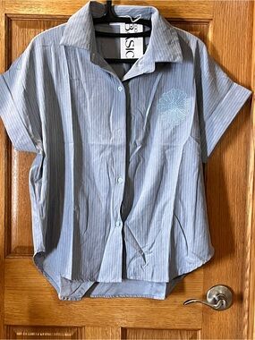 Casual Light Blue Pinstripe Button-Down Shirt with Embroidered Detail